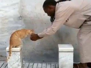 K­u­t­s­a­l­ ­t­o­p­r­a­k­l­a­r­d­a­ ­k­e­d­i­y­e­ ­e­l­l­e­r­i­y­l­e­ ­s­u­ ­i­ç­i­r­d­i­ ­-­ ­İ­Z­L­E­